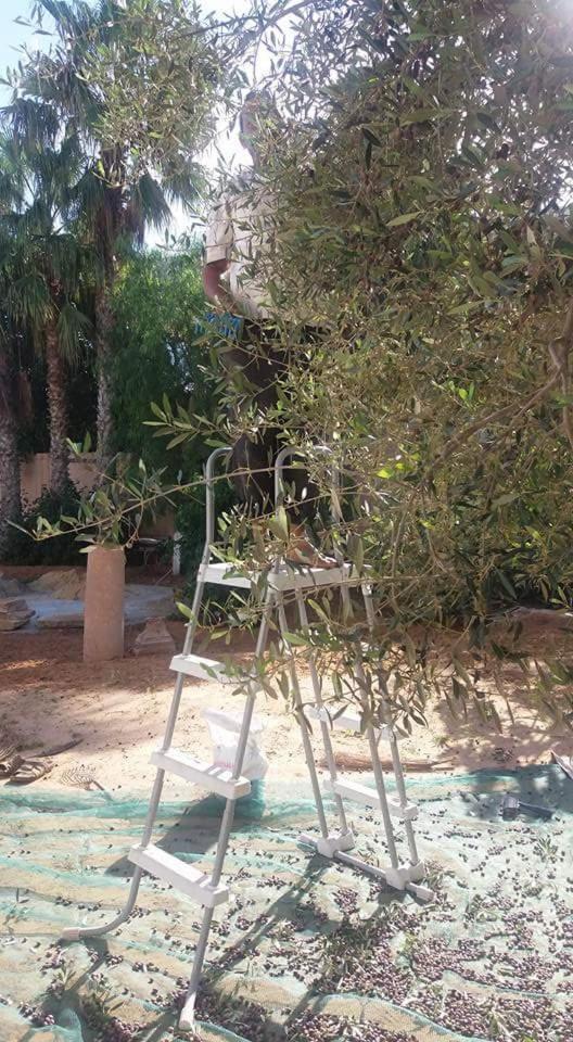 Maison D'Hotes Dar Salma Sfax Esterno foto